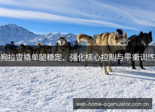 狗拉雪橇单腿稳定，强化核心控制与平衡训练