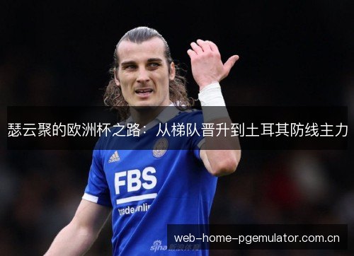 瑟云聚的欧洲杯之路:从梯队晋升到土耳其防线主力 瑟云聚的欧洲杯之路:从梯队晋升到土耳其防线主力
